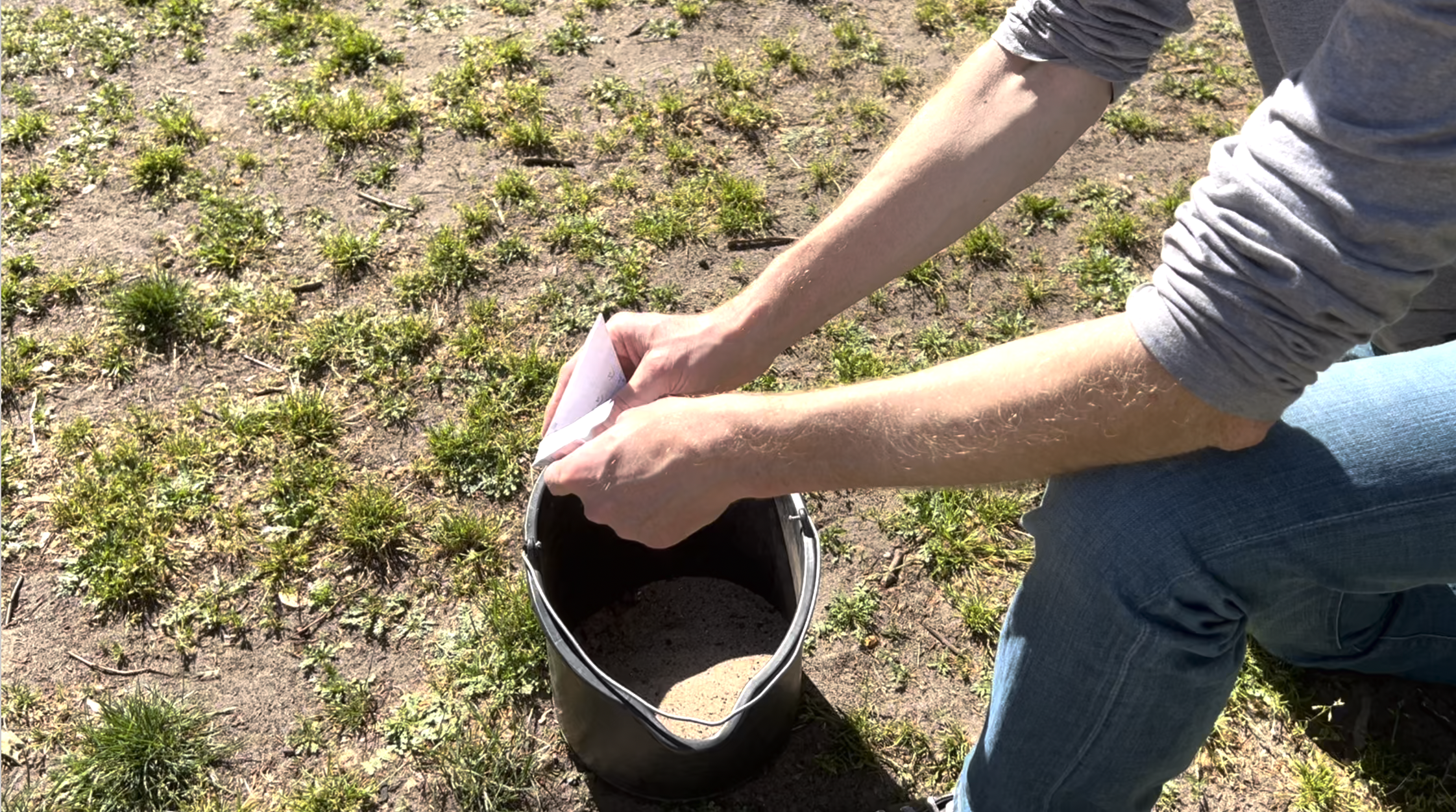 Wildblumen säen – so wird`s gemacht!